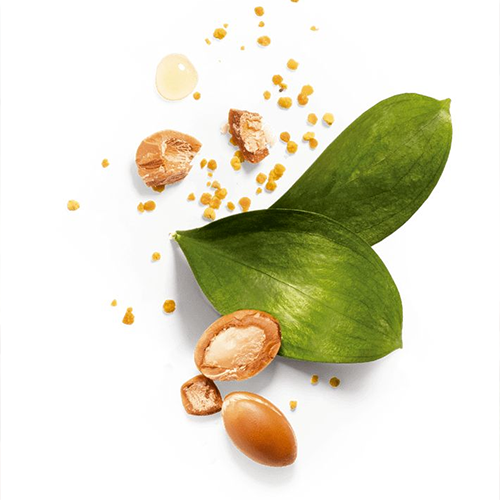 Argan Stem Cells
