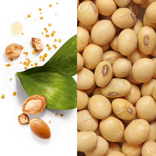 Genistein & Argan Stem Cells