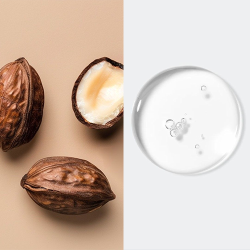 Shea Butter + Ceramide